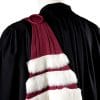 3692epitoge 3 rangs sciences