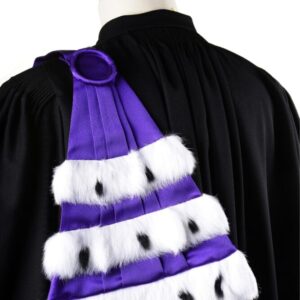 3697epitoge 3 rangs president universiet et recteur academie scaled