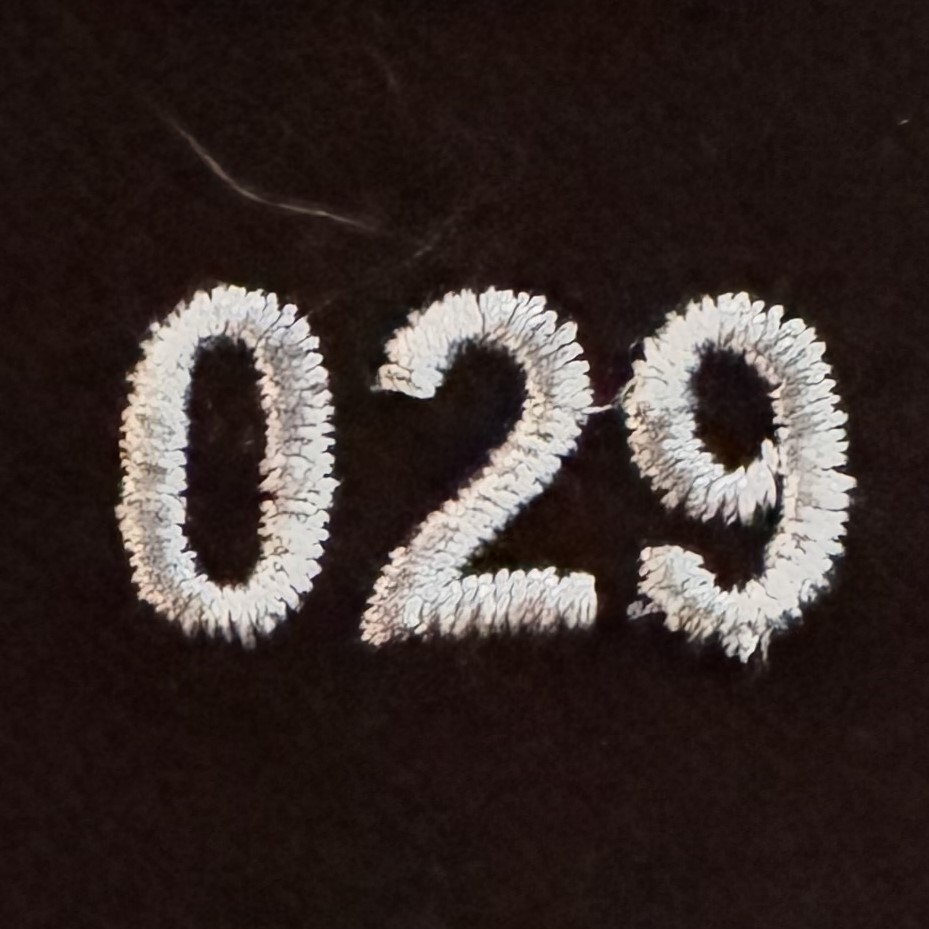 029